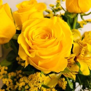 Meet your Posher, Teresa